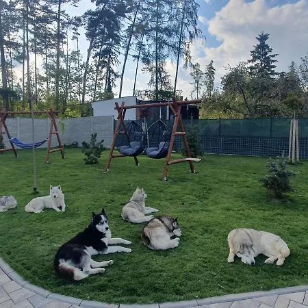 Snehova - Klid A Pohoda * Alojzov